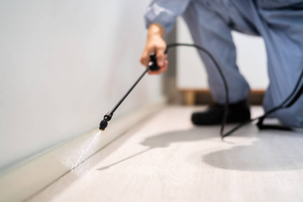 Licensed Mosquito Control service in Deer Park, TX - Show Me Pest Control