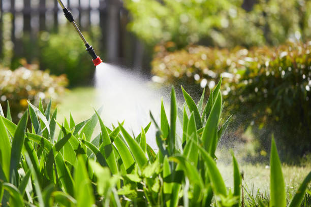 24/7 Emergency Mosquito Control experts in Deer Park, TX