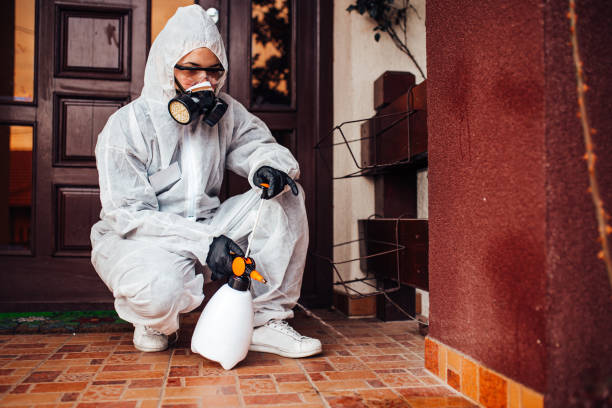 Reliable Mosquito Control contractor in Deer Park, TX by Show Me Pest Control